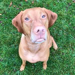 Meet your Posher, Jill